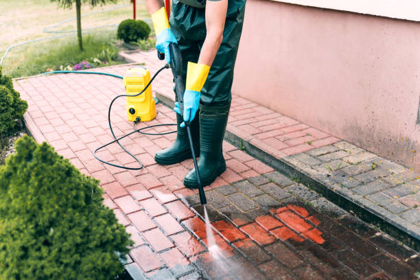 Best Gutter Cleaning  in Pine Mountain Clu, CA