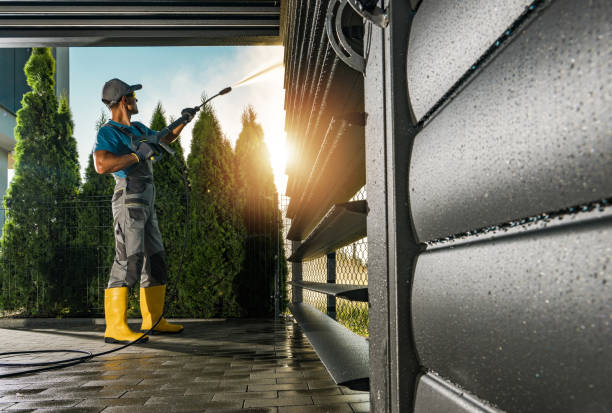 Animal Enclosure Cleaning in Pine Mountain Clu, CA